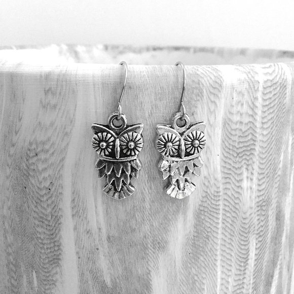 Miniature Adorable Cute Feathered Owl lovers Hypoallergenic Ear wires Earrings - Picture 2 of 5